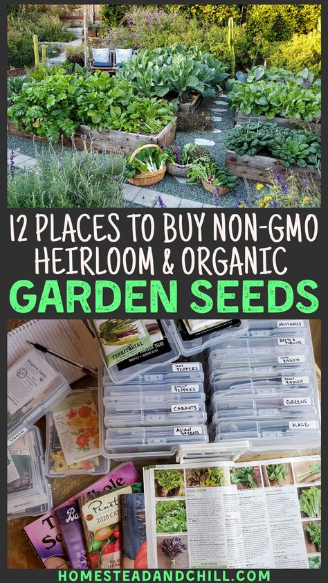 Survival Garden, Buy Seeds, Meteor Garden 2018, Survival Gardening, Simple Organic, Organic Garden, Homestead Survival, Organic Gardening Tips, Organic Seeds