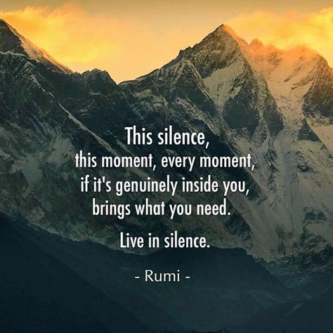 Yoga Quotes Inspirational, Quotes Rumi, Rumi Quotes Soul, Silence Is Better, Rumi Poem, Rumi Poetry, Rumi Love Quotes, Sufi Mystic, Rose Quotes