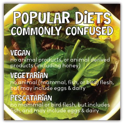 Commonly confused dietary/lifestyle terms: Vegan, Vegetarian, Pescatarian. Pescatarian Snack Ideas, Pescatarian Lifestyle, Pescetarian Diet, Pescatarian Diet, Vegetarian Lifestyle, Popular Diets, Going Vegetarian, Pescatarian Recipes, Vegan Animals