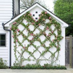 Love love love and adore . This Peggy Martin rose trellis is the stunning work of @moss_landscaping in Houston. Isn't it absolutely Climbing Roses Trellis, Martin Rose, Garden Trellis Designs, Wall Trellis, Rose Trellis, Outdoor Trellis, Flowers Growing, Southern Lady, Diy Roses