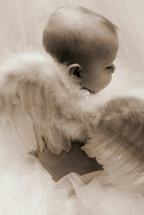 Baby angel Twinless Twin, Angel Baby Pictures, Vanishing Twin Syndrome, Twin Quotes, Angel Bebe, I Believe In Angels, Ange Demon, Angels Among Us, Identical Twins