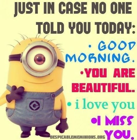 Minion Love Quotes, Cute Minion Quotes, Minion Humor, Funny Good Morning, Minions Humor, Morning Quotes For Friends, Funny Minion Memes, Minion Jokes, Minions Love