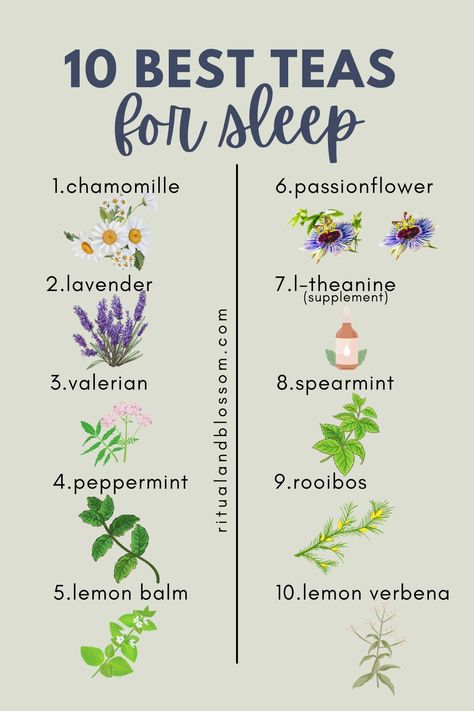 list of best teas for sleep Teas For Sleep, Best Teas To Drink, Best Tea For Sleep, Teas To Drink, Herbs For Sleep, Tea Before Bed, Bedtime Tea, Drink Before Bed, Best Teas