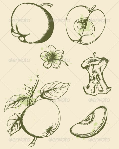 Flower Fruit, Ecommerce Logo, Vector Graphics Design, Apple Apple, Vintage Apple, Print Fonts, Drawing Images, Hand Drawing, Logo Images