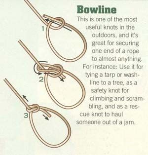 The bowline is a tough, no-slip knot that we use in many of our Tarptent shelters. This is a definitely a need to know knot that can help in many situations on the trail. Scout Knots, Bowline Knot, Camping Knots, Survival Knots, Knots Guide, Kids Camping, Tire Swing, Knots Diy, Knots Tutorial