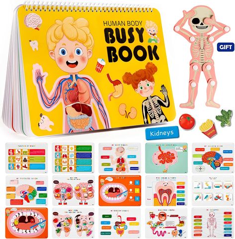 Montessori Busy Book, Anatomy Book, Human Body Activities, Kesehatan Gigi, Human Body Anatomy, Kindergarten Learning Activities, Homeschool Learning, Kindergarten Learning, Travel Toys