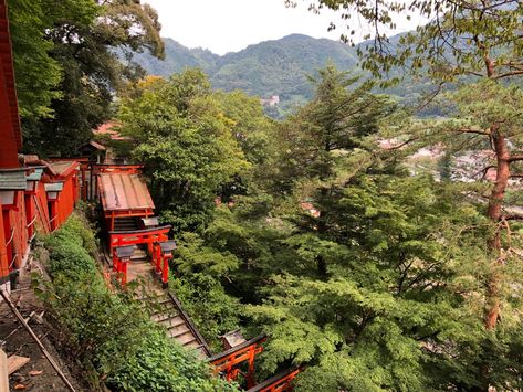 Japan Hiking, Adachi Museum Of Art, Japan Shinkansen, Adachi Museum, Japan Tips, Japan Historical Places, Nature Tourism, Nikko National Park Japan, Shimane