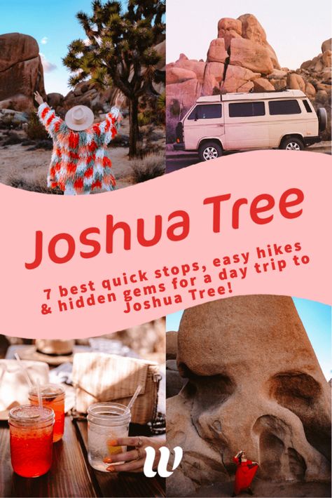 Roads Quotes, Joshua Tree Hikes, Quotes Country, Joshua Tree Park, Aesthetic Country, Cholla Cactus, Joshua Tree California, West Coast Road Trip, Palm Spring