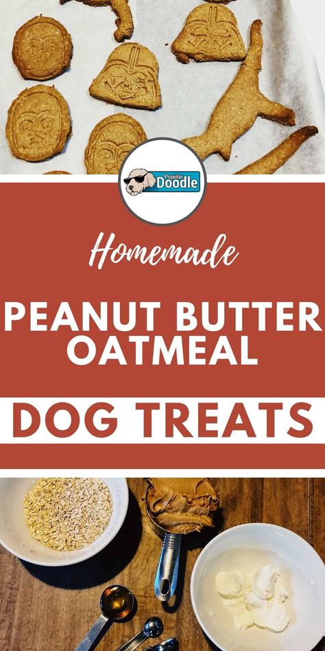 Oatmeal Peanut Butter Dog Treats Easy, Homemade Peanut Butter Dog Treats Recipe, Oatmeal Dog Treats, Dog Treats Homemade Peanut Butter, Biscuits Recipes, Dog Treats Homemade Easy, Doggy Treats, Dog Biscuit Recipes, Homemade Oatmeal