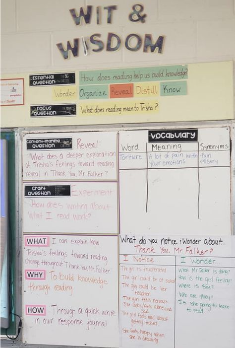 1st Grade Wit And Wisdom, Wit And Wisdom 5th Grade, Wit And Wisdom 1st Grade, Wit And Wisdom 4th Grade, Wit And Wisdom Focus Wall, Wit And Wisdom 2nd Grade, Wit And Wisdom 3rd Grade, Middle School Management, Avid Program