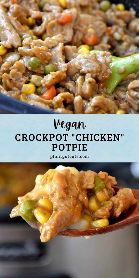 Fall Crockpot Meals Vegetarian, Vegan Crockpot Dump Meals, Vegan Crockpot Meals Dump Dinners, Slow Cooker Soy Curls, Vegetarian Soups In A Crock Pot, Vegetarian Crockpot Soup Recipes, High Protein Vegan Crockpot Recipes, Vegan Crockpot Recipes Dinners, Vegan Crock Pot Meals