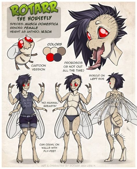 Open Species Humanoid, Bug Anthro, Bug People Character Design, Insect Fursona, Anthro Insect, Bug Fursona, Hybrid People, Species Oc, Bug Person