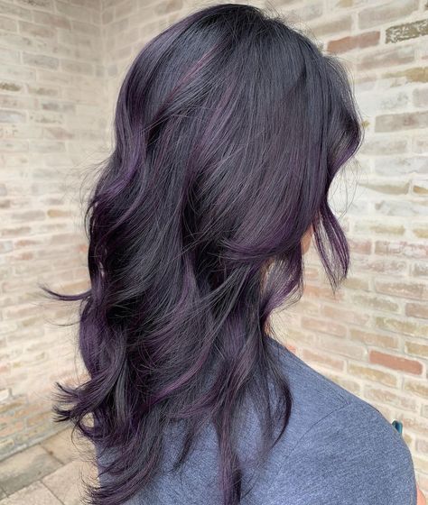 Purple Hair Color On Black Hair, Purple Color On Black Hair, Violet Tinted Hair, Purple Hair On Dark Brown Hair, Dark Purple Into Light Purple Hair, Plum Purple Hair With Blonde Highlights, Highlight Purple Hair, Purple Hair Balayage Brunettes, Purple Over Brown Hair No Bleach