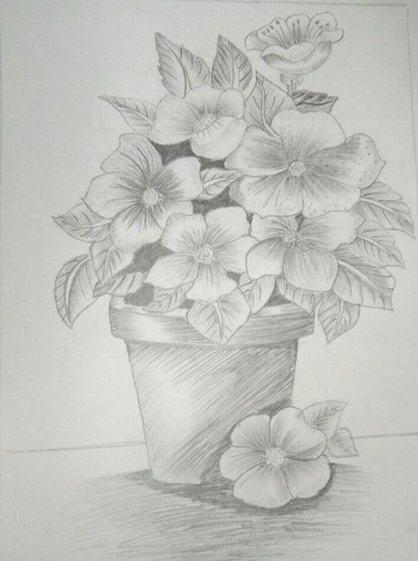 Flower Pot Sketch Drawing, Simple Flower Pot Drawing, Pot With Flowers Drawing, Flower Pot Drawing Painting, Flower Pot Drawing Pencil, Flower Pot Sketch, Drawings Coloring Book, Flower Pot Painting Ideas, Flower Pot Drawing