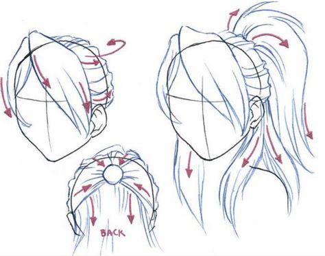 Hair Xiao Hair, Bangs Drawing, Drawing Y2k, Anime Anatomy, Sketch Hair, Ponytail Drawing, Anime Hairstyle, Sadie Kane, Hairstyle Drawing