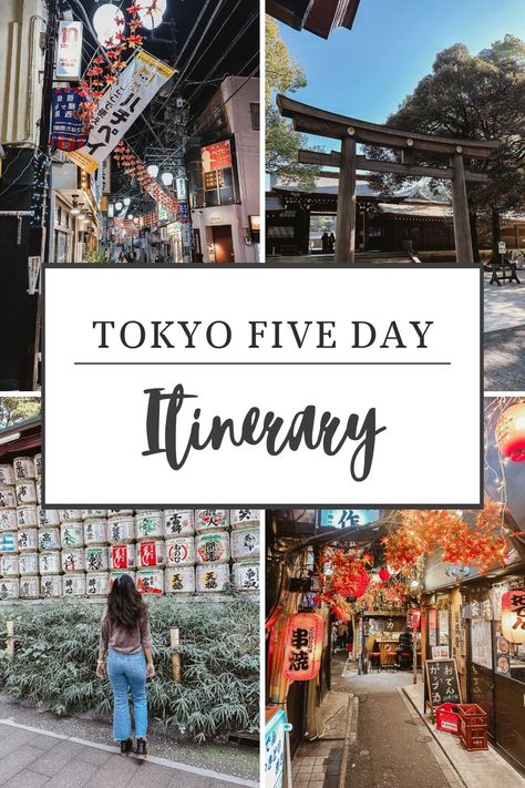 Tokyo, Japan awaits! This Tokyo itinerary spans 5 days and is packed with exciting adventures, incredible foodie experiences, and a glimpse into the unique charm of Tokyo's neighborhoods. Tokyo Neighborhoods, Tokyo Itinerary, Japan Holiday, Ueno Park, My Senses, Tokyo Restaurant, Japan Holidays, Sensory Overload, Japan Travel Tips