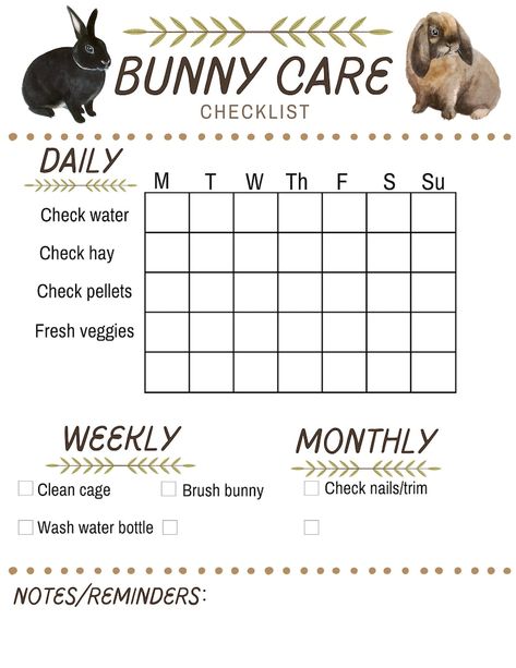 Bunny Rabbit Care Schedule Checklist Daily Weekly & Monthly - Etsy Canada Rabbit Care Checklist, Free Range Rabbits Indoor, Cute Guenia Pigs, Bunny Care Checklist, Bunny Schedule, Rabbit Schedule, Bunny Set Up Indoor Diy, Bunny House Indoor Diy, Bunny Checklist