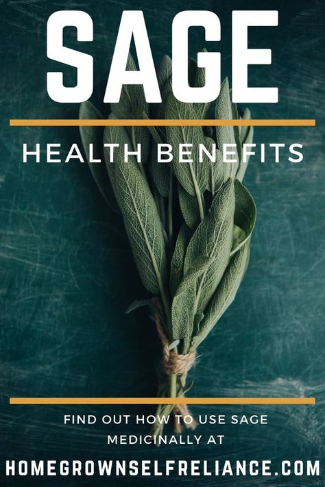 Uses For Sage, Sage Health Benefits, How To Use Sage, Sage Benefits, Sage Uses, Herbs For Sleep, Sage Herb, Sage Tea, Medicinal Tea