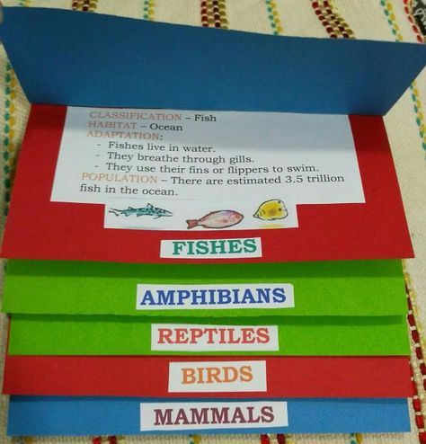 Animal Classification Project, Animal Classification For Kids, Animal Classification Activity, Classification Of Animals, Teach English To Kids, Common And Proper Nouns, Interactive Notes, Animal Classification, 1st Grade Science