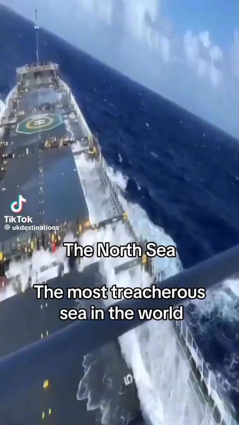 Scary Ocean, Foto Bawah Air, Bawah Air, Dangerous Jobs, Arte Robot, Wow Video, Ocean Vibes, Places In The World, Destination Voyage