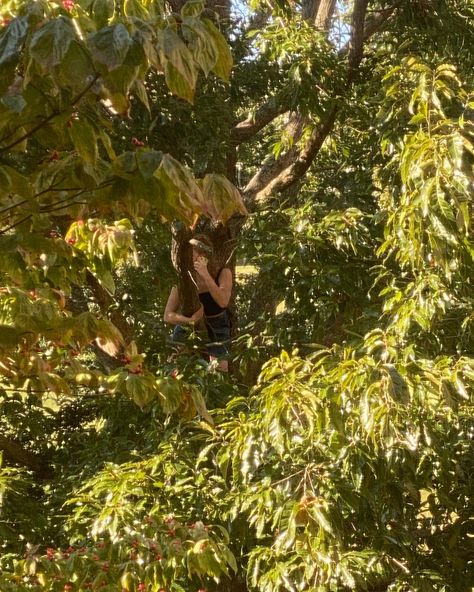 girl in tree; tree climbing; nature; outside Tree Climbing Aesthetic, Climbing Trees Aesthetic, Girl Climbing Tree, Hiding Behind Tree, Slow Days, Book Collage, Obx Dr, Climbing Trees, Tree Climbing