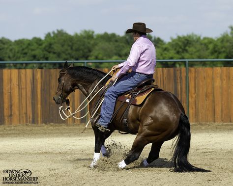 Riding Exercise #16: Stop on Whoa Goal: To get the horse to stop from all three gaits when you say the word “whoa” without having to use the reins. You want your horse to act like there’s an imaginary cliff in front of him and if he takes one more step after you say the word “whoa,” he’s going to fall off the edge of it. More about the exercise: https://www.downunderhorsemanship.com/Store/Search/intermediate Sliding Stop Horse, Excel Icon, Downunder Horsemanship, Training Horses, Clinton Anderson, Horse Training Exercises, Horse Information, Riding Tips, Horse Exercises