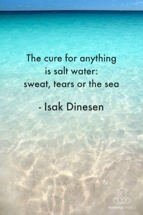 Salt Quotes, Water Quotes, Mermaid Fin, Adrenal Support, Ocean Quotes, I Love The Beach, Beach Quotes, Salt Life, Himalayan Salt