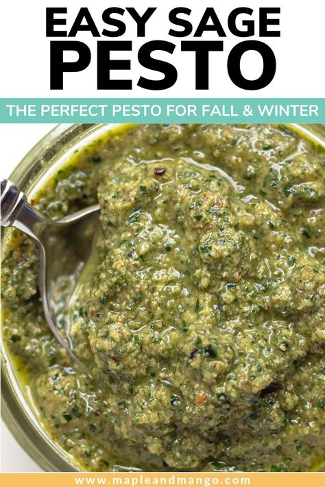 This homemade sage pesto recipe is the perfect pesto for the fall and winter months. If your herb garden is exploding with sage or you have leftover sage from holiday recipes...make this easy and delicious sage pesto! | www.mapleandmango.com Winter Herb Garden, Sage Pesto, Sage Recipes, Walnut Pesto, Winter Dishes, How To Make Pesto, Summer Dining, Jelly Recipes, Turkey Sandwiches