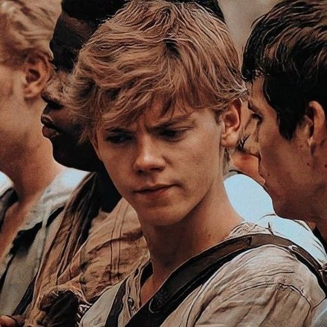 Maze Runner Maze, Thomas Maze Runner, Maze Runner Thomas, Maze Runner Movie, Newt Maze Runner, Newt, Maze Runner, Riverdale, Jelly