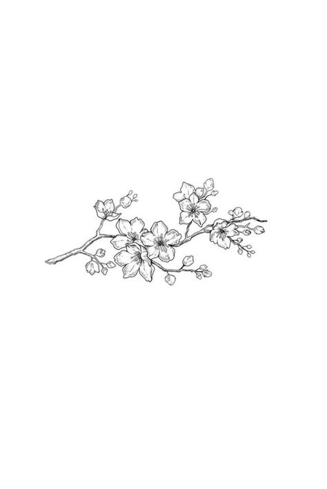 𝒞𝒽𝑒𝓇𝓇𝓎 𝐵𝓁𝑜𝓈𝓈𝑜𝓂𝓈 Apple Blossom Flower Drawing, Apple Blossom Branch Tattoo, Cherry Blossom Fine Line Tattoo, Cherry Branch Tattoo, Cherry Blossom Branch Drawing, Almond Blossom Tattoo, Cherry Blossom Sketch, Small Cherry Blossom Tattoo, Ldr Tattoo