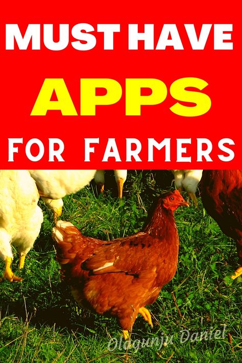 Donkey Training, Poultry Business, Poultry Farming, Business Apps, Chicken Farmer, Poultry Farm, Activity Days, Day To Day, A Chicken