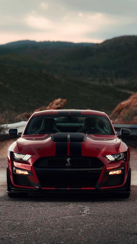 Aesthetic Cool, Ford Mustang Shelby Gt500, Car Aesthetic, Shelby Gt500, Ford Mustang Shelby, Mustang Shelby, Most Powerful, Ford Mustang, Cool Cars