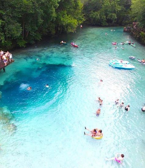 Gilchrist Blue Springs State Park is one of the many natural spring parks within the state. The park contains a collection of natural springs, including a large second-magnitude spring that produces an average of 44 million gallons of water per day. This spring, known as Gilchrist Blue, has outstanding water clarity and discharges water through a shallow spring run about one-quarter mile to the Santa Fe River. Mainstream Adventures, Blue Springs State Park, Adventure Tattoo, Water Per Day, Natural Spring, Spring Park, Spring Nature, Blue Springs, Vacation Places