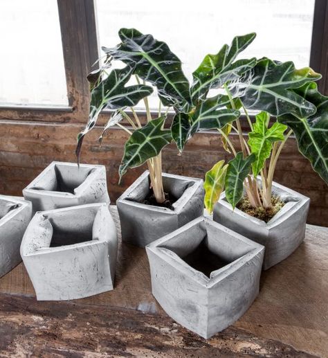 _MG_9708 Planter Designs, Concrete Containers, Decoration Beton, Diy Concrete Planters, نباتات منزلية, Concrete Ideas, Cement Diy, Concrete Diy Projects, Concrete Forms