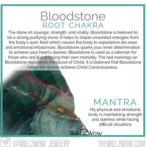 Bloodstone Crystal Meaning, Bloodstone Meaning, Crystal Affirmations, Crystal Grimoire, Witch Stones, Crystal Cards, Stone Meanings, Soul Cleansing, Crystal Seashells