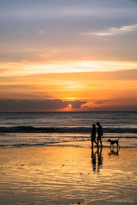 Couple In Sea Beach, Beach Walks Couple, Walking Along The Beach Aesthetic, Walks On The Beach Aesthetic, Walking Together Aesthetic, Beach Walks Aesthetic, Dog Walks Aesthetic, Beach Walk Couple, Couple With Dog Aesthetic