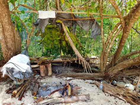 This is our shelter from our four day survival trip on a deserted tropical island off the coast between Malaysia and Thailand. We went here with nothing but a knife, a flint and a machete. Jungle Survival Shelter, Desert Island Survival, Deserted Island Survival, Stuck On A Deserted Island Aesthetic, Island Survival Aesthetic, Stranded On An Island Aesthetic, Deserted Island Aesthetic, Stranded Island, Pig Man