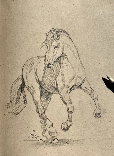 Drawing Horse, Horse Art Drawing, Arte Aesthetic, Desen Realist, Horse Sketch, Animal Drawings Sketches, Horse Drawing, 인물 드로잉, Horse Drawings