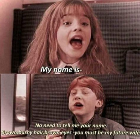 Meme Harry Potter, Memes Harry Potter, Glume Harry Potter, Funny Harry Potter Jokes, Harry Potter Memes Hilarious, Harry Potter Feels, Harry Potter Puns, Harry Potter Images, Images Harry Potter