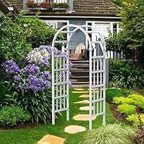 Arbor Garden, Arch Garden, Types Of Climbing, Wedding Archway, Arbors Trellis, Climbing Flowers, Garden Arbor, Gazebo Pergola, Climbing Vines