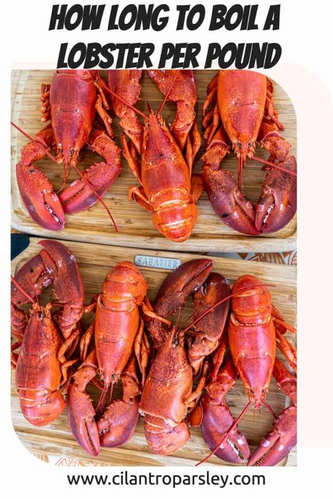 How Long To Boil Lobster, How To Boil Lobster, Lobster Boil Recipe, Boiled Lobster, Devein Shrimp, Cook Lobster, Cilantro Parsley, Lobster Sauce, Lobster Boil