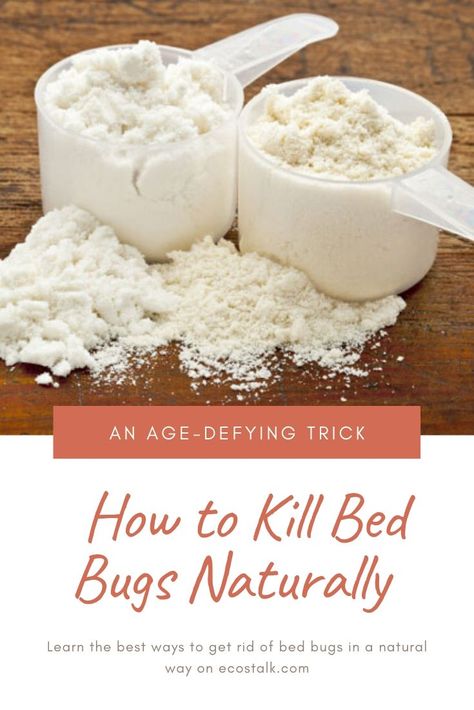 Natural Bed Bug Remedies, How To Get Rid Of Bed Bugs For Good, Bed Bugs How To Get Rid Of Diy, Kill Bed Bugs Fast, How To Kill Bed Bugs, Getting Rid Of Bed Bugs Fast, How To Check For Bed Bugs, How To Get Rid Of Bed Bugs Fast Diy, Get Rid Of Bed Bugs Fast Diy