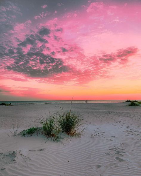 🌊Sarasota Florida 🌅 on Instagram: “📸 @_sunsetandchill_ ~~~~~~~ To submit use #sarasota_florida, DM me, and or Tag me in your post! ~~~~~~~ #sarasota #sarasotaflorida #florida…” Florida Resorts, Southwest Florida, Siesta Key, Sarasota Florida, Custom Closet, Naples Fl, City Aesthetic, Summer Travel, Sarasota