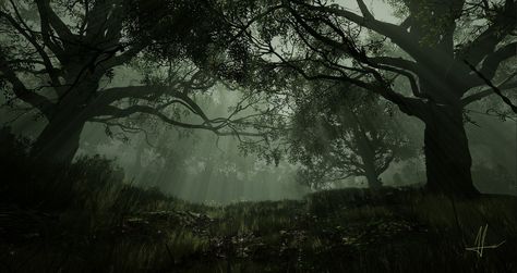 Dark Forest, Alis A on ArtStation at https://www.artstation.com/artwork/0XY06E Dark Forest Computer Wallpaper, Dark Forest Aesthetics, Dark Green Forest Wallpaper Desktop, Forest Wallpaper Macbook, Moody Computer Wallpaper, Pc Backgrounds 1920x1080, Dark Forest Aesthetic Wallpaper Laptop, 1920 X 1080 Hd Wallpaper Desktop Aesthetic Dark, Dark Background For Laptop