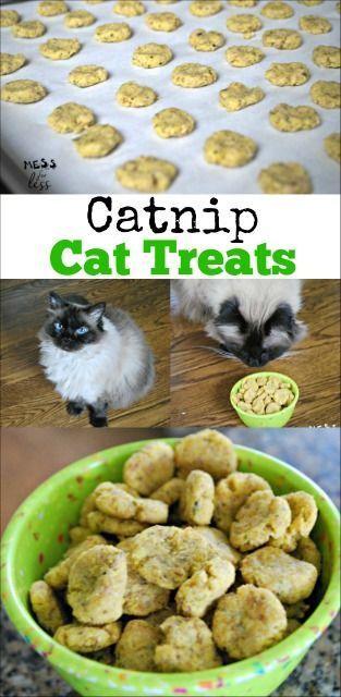 Diy Cat Treats, Katt Hus, Catnip Treats, Homemade Pet Treats, Pet Treats Recipes, Kat Diy, Chat Diy, Homemade Cat Food, Catnip Cat