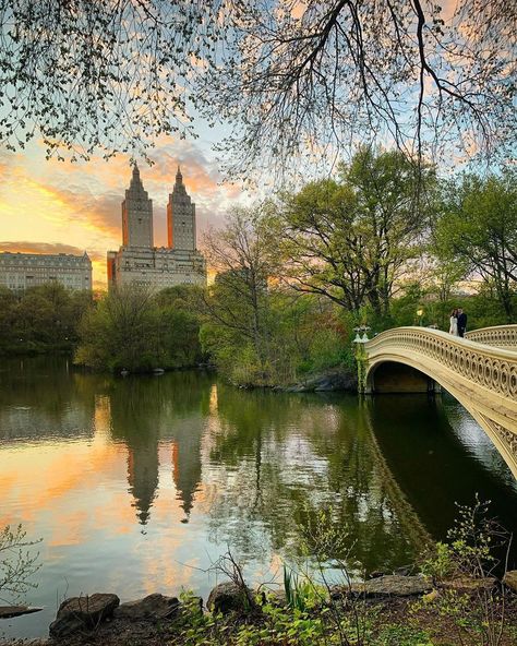 New York Facts, Cental Park, Central Park Aesthetic, Central Park Manhattan, Nyc Photoshoot, Spring Sunset, New York City Aesthetic, Central Park Nyc, Spring Park