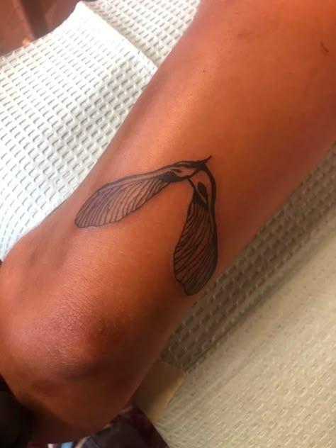 Maple Tree Seed Tattoo, Sycamore Tattoo, Wildcard Tattoo, Seedling Tattoo, Celeste Tattoo, Seeds Tattoo, Maple Seed Tattoo, Maple Tattoo, Australia Tattoos