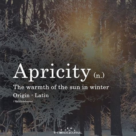 Apricity Citation Nature, Unique Words Definitions, Uncommon Words, Fina Ord, Fancy Words, One Word Quotes, Weird Words, Unusual Words, Rare Words