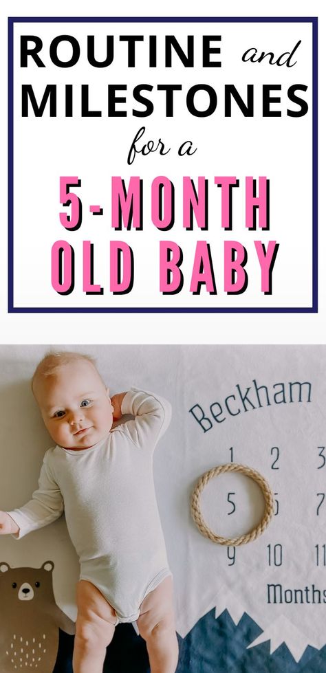 5 Month Schedule, 5 Month Milestones, 5 Month Old Milestones, 5 Month Old Schedule, 5 Month Baby Milestones, Baby Birthday Quotes, Month Milestones, Baby Sleeping Bag Pattern, Moms On Call