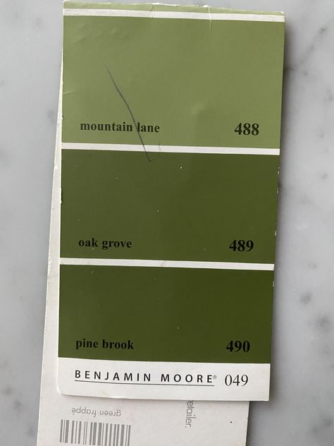 Benjamin Moore Pine Brook, Green Pallet, Orange Cabinets, Oak Grove, Falling Back In Love, Kitchen Colour Schemes, Paint Colors Benjamin Moore, Benjamin Moore Paint, Kitchen Color